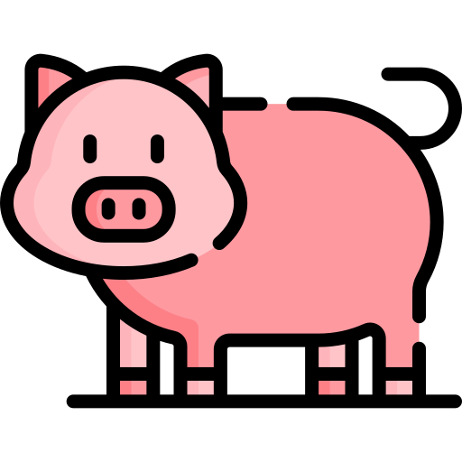 A standing pig with its head turned forward